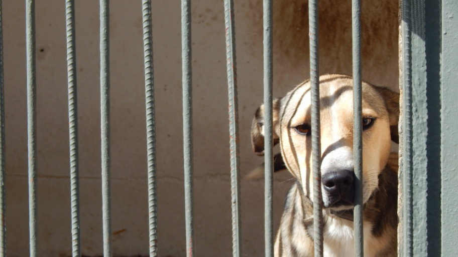 ebarvahaz.jpg Bélyegkép