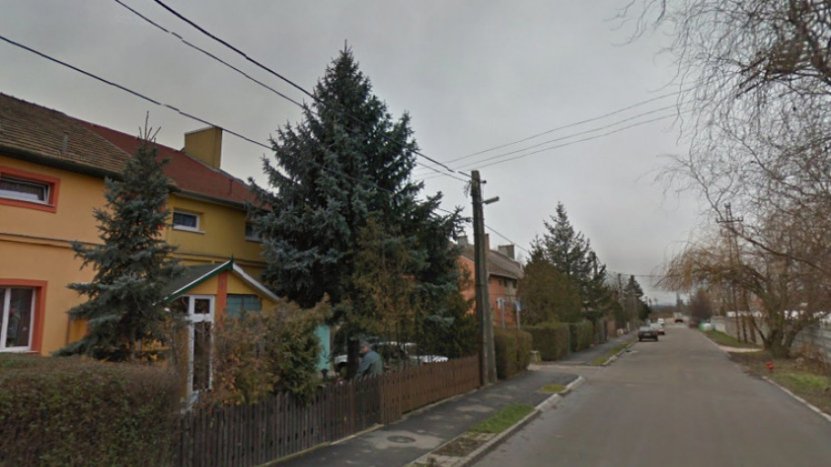 facankoz_181025.jpg Bélyegkép