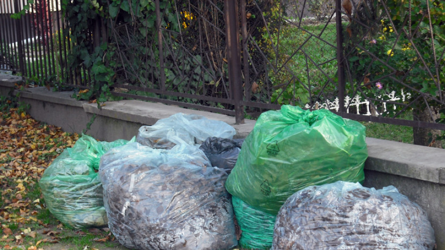 zoldjarat_181029.jpg Bélyegkép