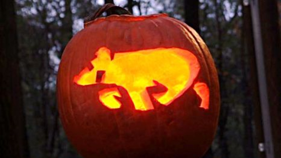 budakeszi_vadaspark_halloween_181028.jpg Bélyegkép