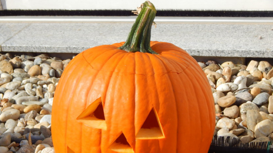 mesehaz_ovoda_tokjonapok_181019.jpg Bélyegkép