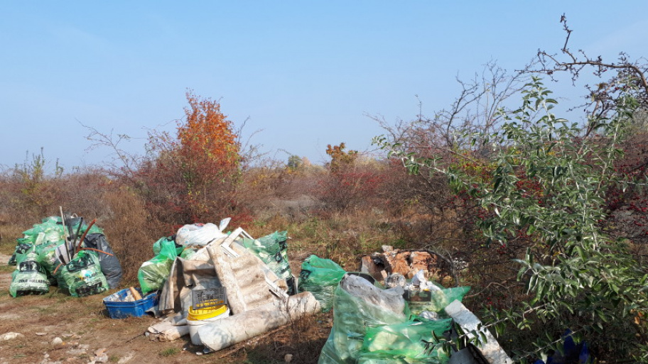 szemetszedes_parkvarosban_181020.jpg Bélyegkép