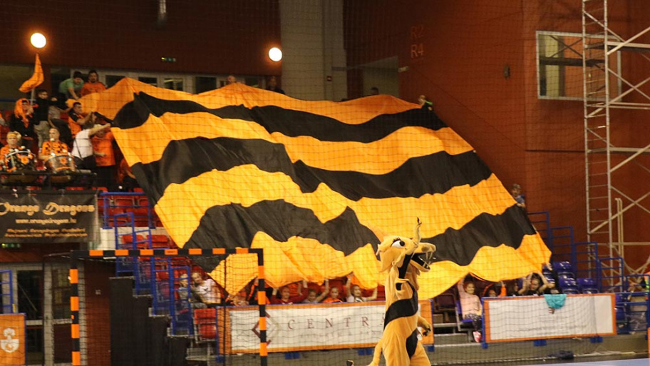 181109_kezi_ehfkupa_beharangozo.jpg Bélyegkép