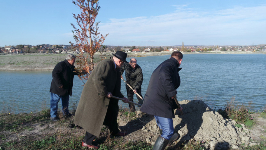 kinaifenyo_181115.jpg Bélyegkép