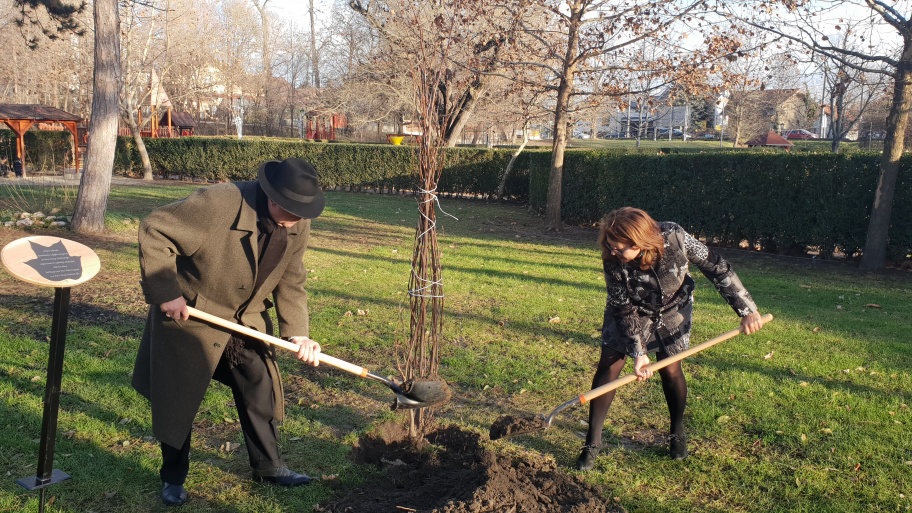 etvfaultetes_181210.jpg Bélyegkép