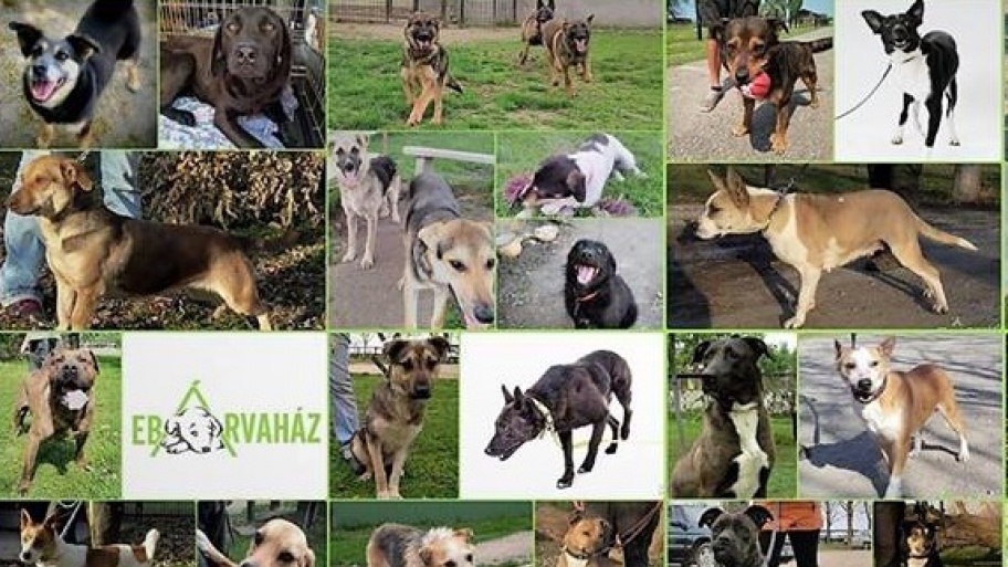 ebarvahaz_karacsony.jpg Bélyegkép