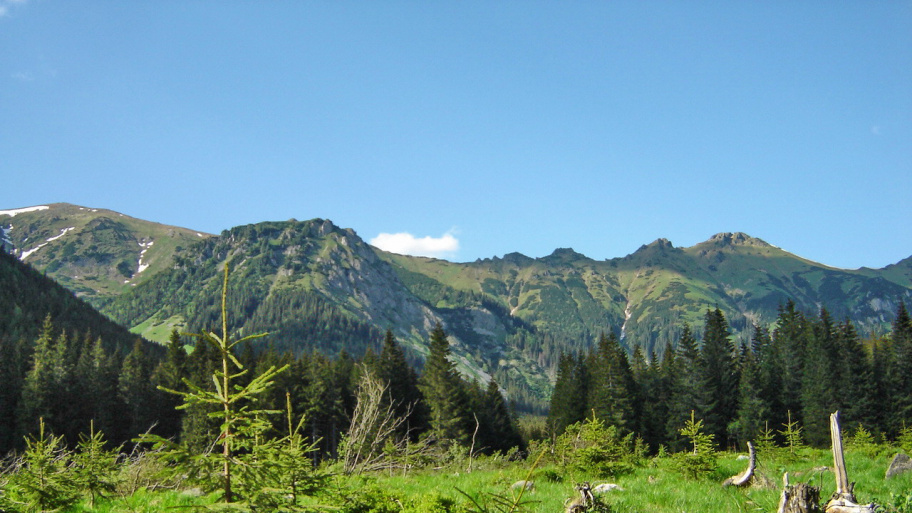wahlenberg_tatra_muzeumbarat_kor.jpg Bélyegkép